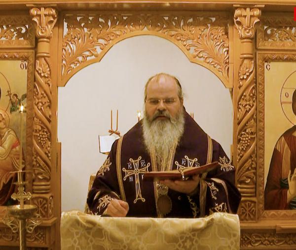 (Video) Omul care vorbește puțin are liniște și pace interioară - PS Ignatie