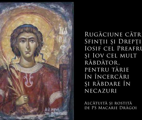 (Audio) Rugăciune către Sfinții și Drepții Iosif cel Preafrumos și Iov cel mult răbdător - Preasfințitul Părinte Episcop Macarie Drăgoi