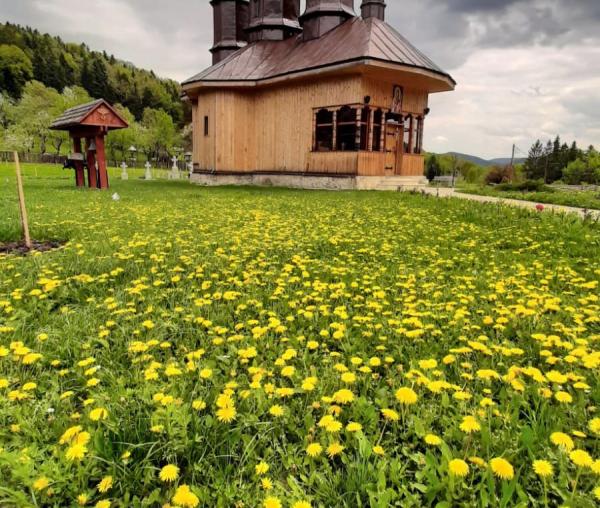 (Foto) Primăvara în poiana Raiului de la Pocrov