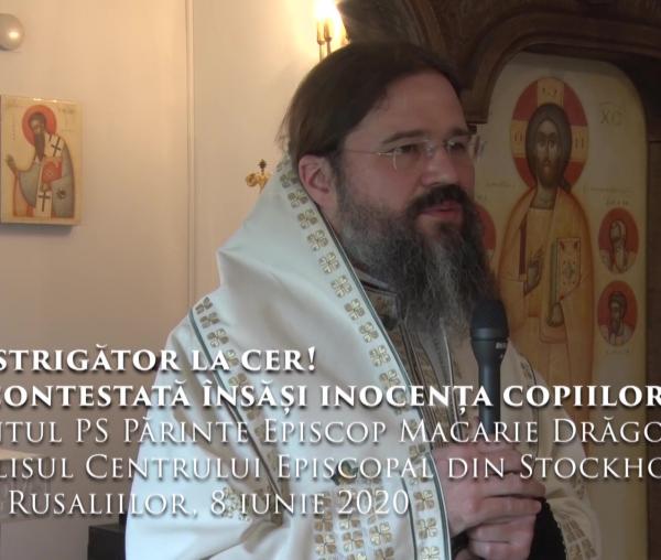 (Video) „Este strigător la cer! Este contestată însăși inocența copiilor!” – PS Macarie