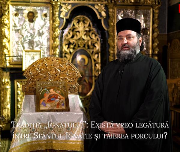(Video) Tradiția „Ignatului”: Există vreo legătură între Sfântul Ignatie și tăierea porcului?