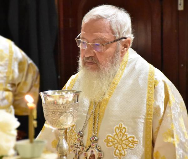 (Video) Mitropolitul Andrei: „Hărnicia” – Predică la Duminica a 16-a după Rusalii (Pilda talanților)