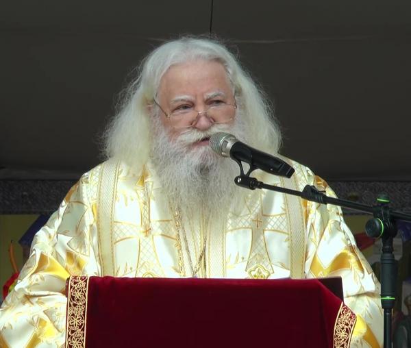 (Video) Înaltpreasfințitul Calinic: „Dacă cei din Ierusalim își așterneau hainele însoțite de ramuri, noi ar trebui să așternem stâlpările faptelor noastre bune”