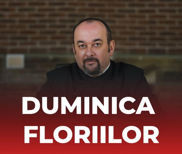 (Video) Ce înseamnă „a-și aduce aminte” sau gânduri despre neuitare – Explicații la Evanghelia Duminicii a 6-a din Post (a Floriilor)