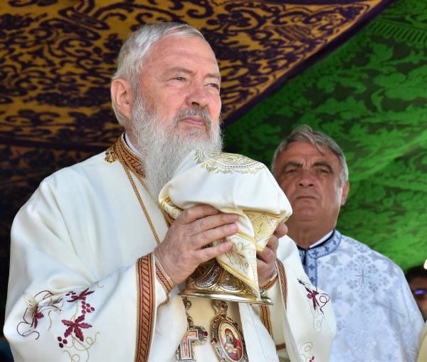 (Video) Mitropolitul Andrei: „Domnul Hristos, Doctorul sufletelor și al trupurilor noastre”