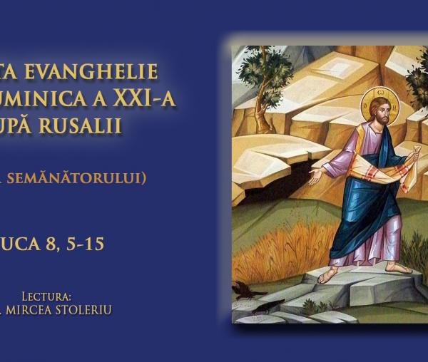 (Video) Sfânta Evanghelie din Duminica a XXI-a după Rusalii (Pilda semănătorului - a Sfinților Părinți de la Sinodul al VII-lea Ecumenic)