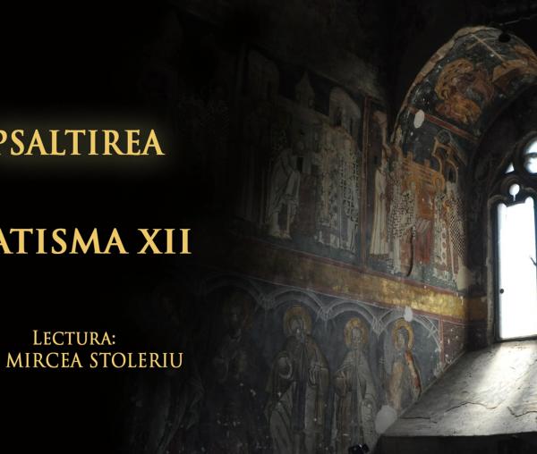 (Audio) Psaltirea – Catisma a douăprezecea – în lectura Părintelui Mircea Stoleriu