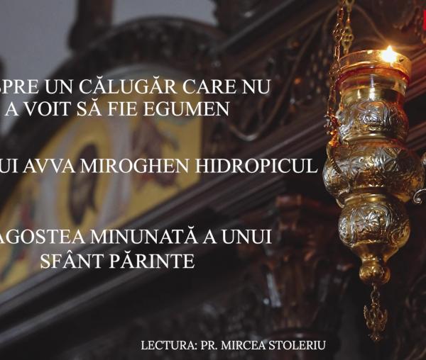 (Audio) Despre un călugăr care nu a voit să fie egumen și alte povestiri - Limonariul audio, ep. 4