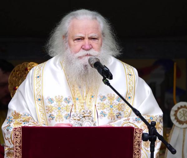 (Video) „Duminica Floriilor vrea să ne arate felul în care ar trebui să-L primim pe Hristos în sufletul nostru" – IPS Calinic