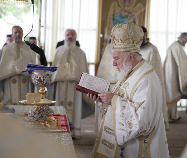 (Video) Preasfințitul Visarion al Tulcii: „Să fim și noi niște pelerini către viața veșnică!”