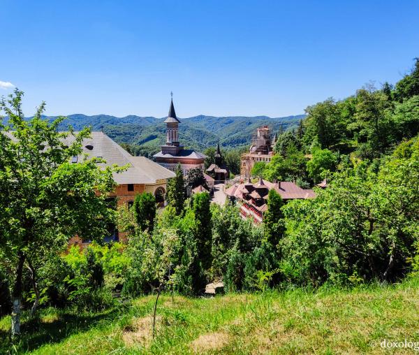 Mănăstirea Rohia