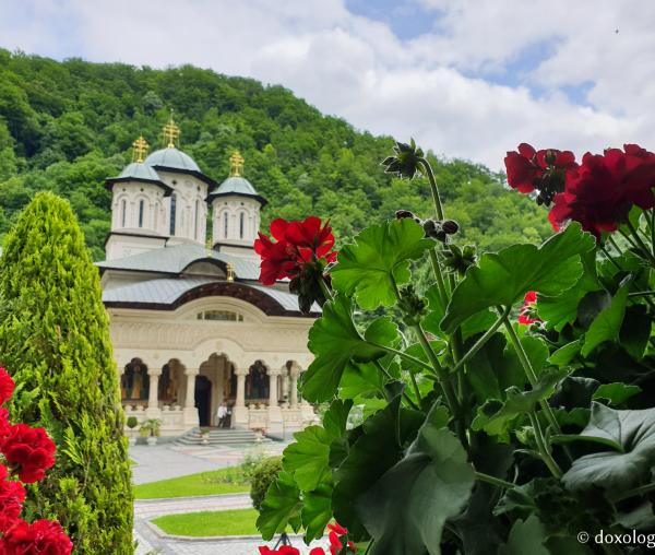 Mănăstirea Lainici