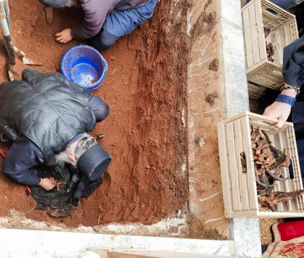 (Foto) Deshumarea Părintelui Petroniu Tănase de la Schitul Românesc Prodromu – 27 aprilie 2023