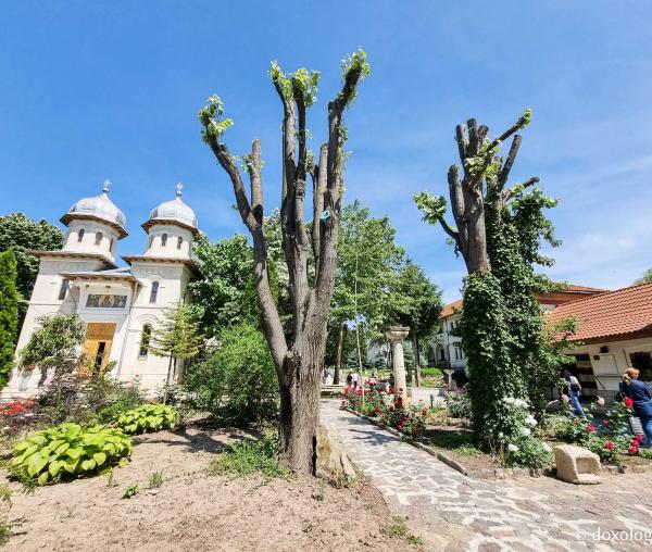 (Foto) Pași de  pelerin la Mănăstirea Dervent