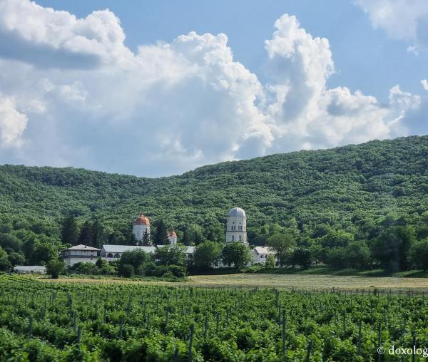 (Foto) Pași de pelerin la Mănăstirea Cocoș