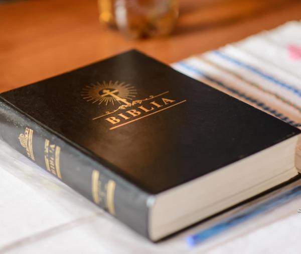 Biblia - Sfanta Scriptura
