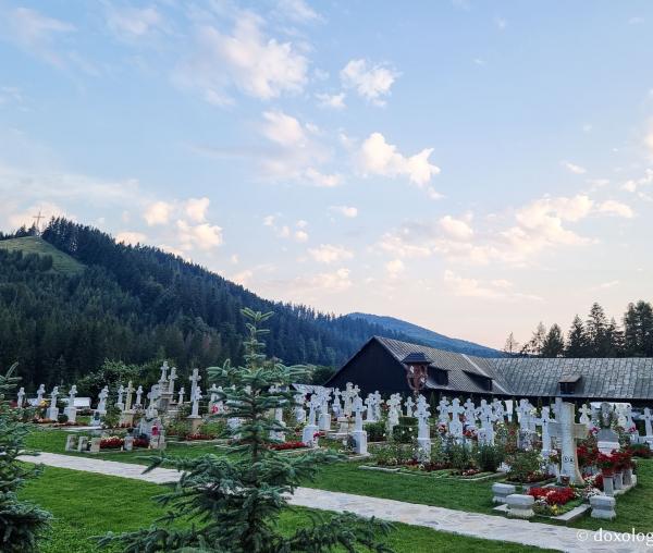 Cimitirul Mănăstirii Putna
