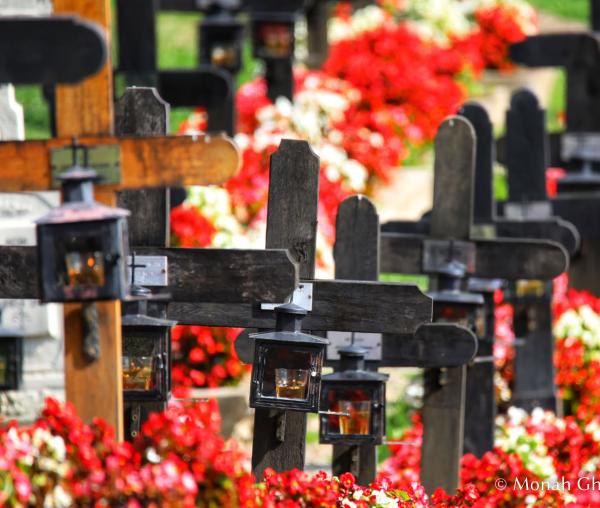 Cimitirul Mănăstirii Sihăstria