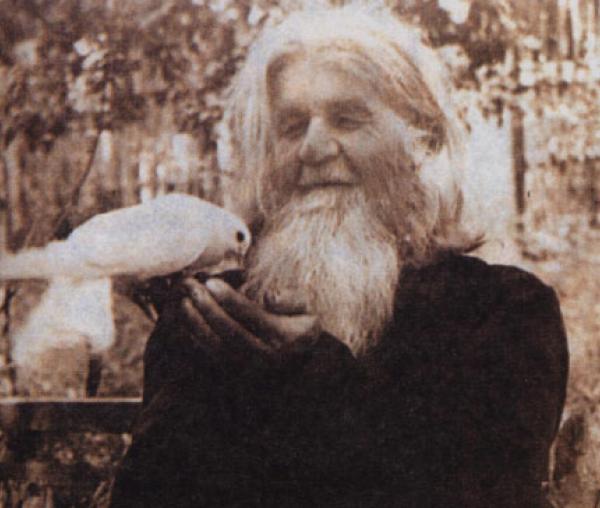 Sfântul Cuvios Amfilohie de la Poceaev