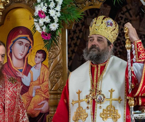 PS Nichifor Botoșăneanul