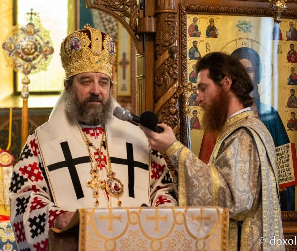 PS Nichifor Botoșăneanul