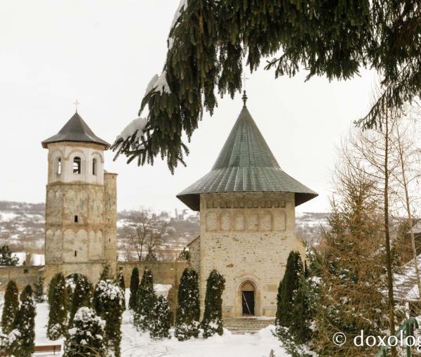 Mănăstirea Dobrovăț