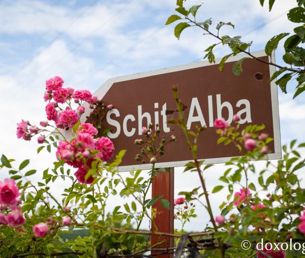Schitul Alba