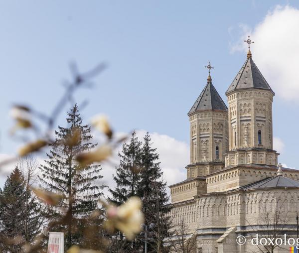Flori de magnolii Mănăstirea Sfintii Trei Ierarhi