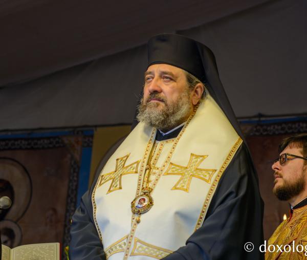 PS Nichifor Botoșăneanul