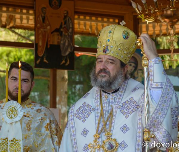 PS Nichifor Botoșăneanul