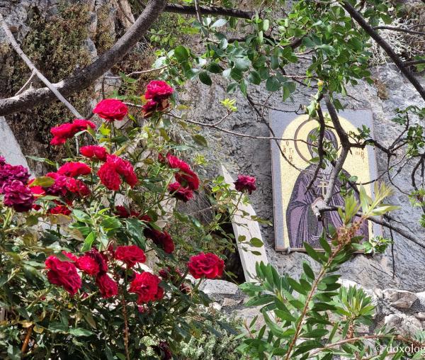Florile de la Mănăstirea „Sfântul Cuvios Patapie” din Loutraki