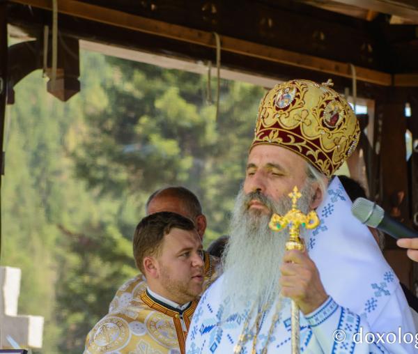 IPS Teofan, Mitropolitul Moldovei și Bucovinei