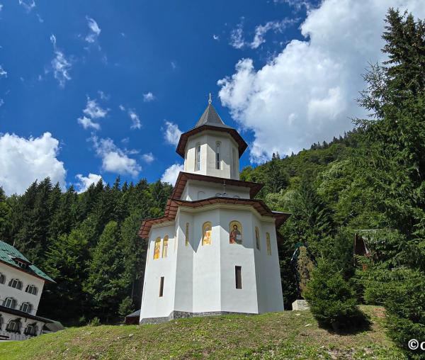 Mănăstirea Sfântul Ilie Paltinul