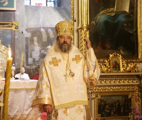 PS Nichifor Botoșăneanul, Episcop-vicar al Arhiepiscopiei Iașilor