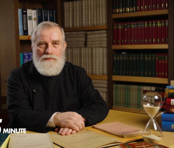 Pr. Prof. Dr. Ion Vicovan