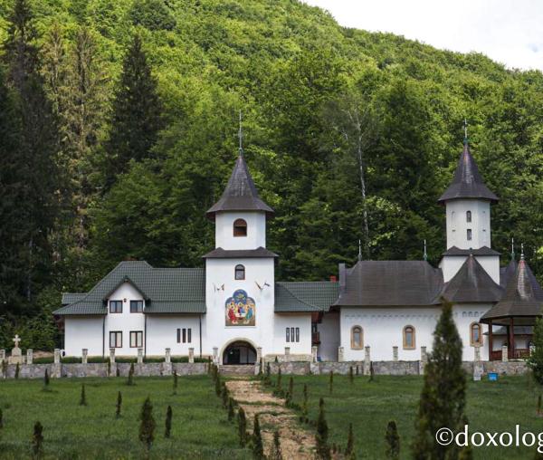 Schitul Sfântul Nifon, Vânători Neamț