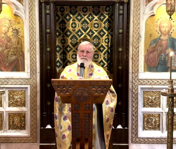 Pr. Prof. Ion Vicovan