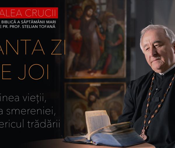 pr stelian tofan