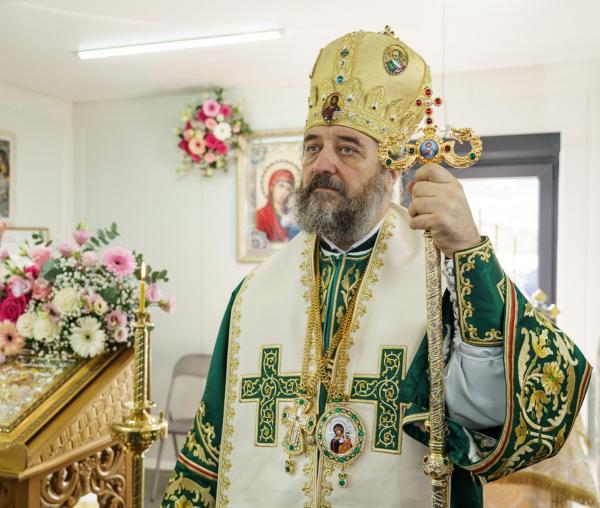 PS Nichifor Botoșăneanul