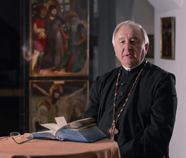 pr Stelian Tofan