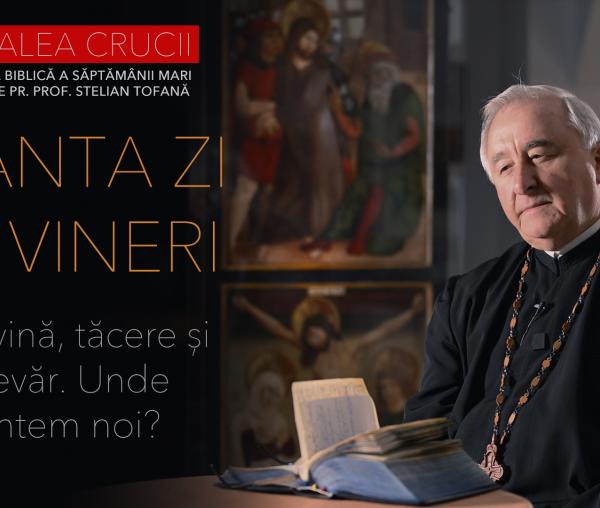 Pr Stelian Tofan
