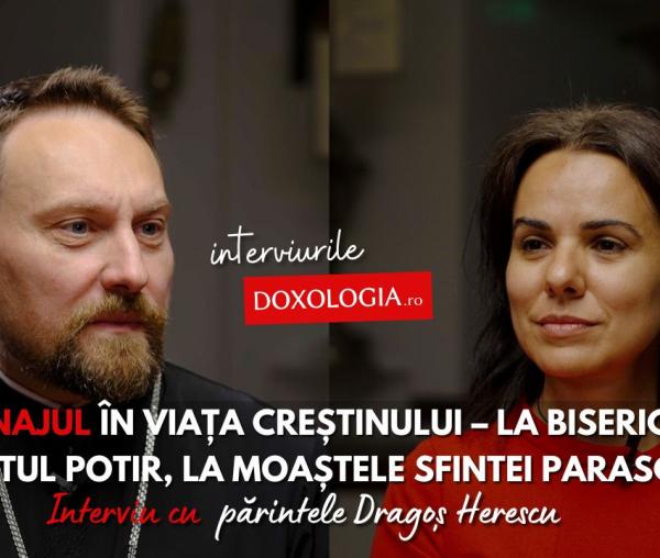 pr Dragos Herescu