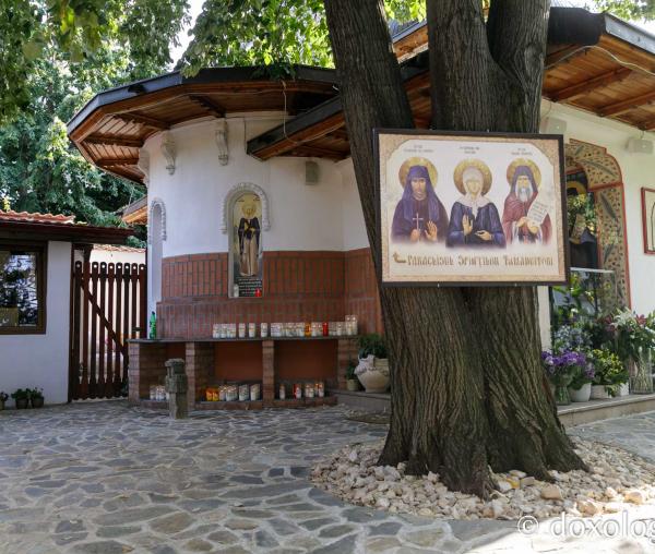 Paraclisul Sfinților Tămăduitori de la Schitul Darvari