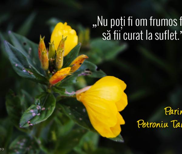 Nu poți fi om frumos fără să fii curat la suflet