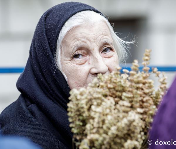 Jurnal de pelerin la Sfânta Cuvioasă Parascheva 2025