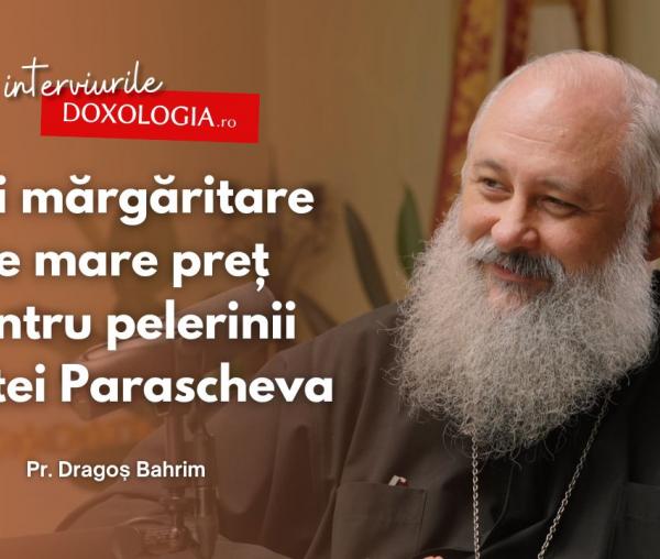 pr. Dragoș Bahrim