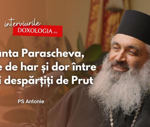 PS Antonie