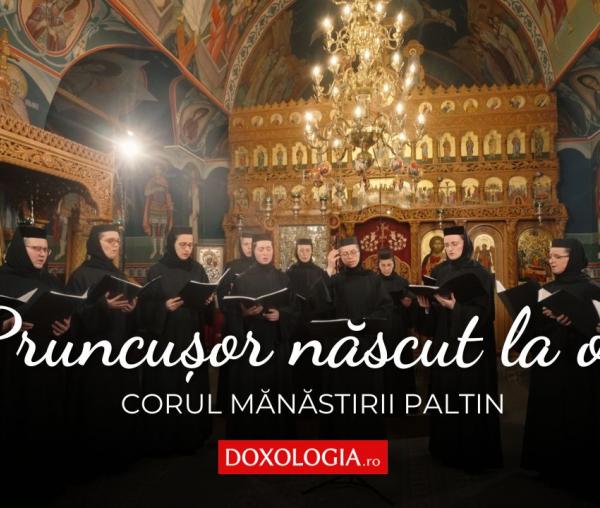 Corul maicilor de la Mănăstirea Paltin – Pruncușor născut la oi