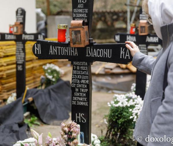 (Video) De la grija porcilor în calendarul Bisericii noastre: Sfânta Antonina de la Tismana