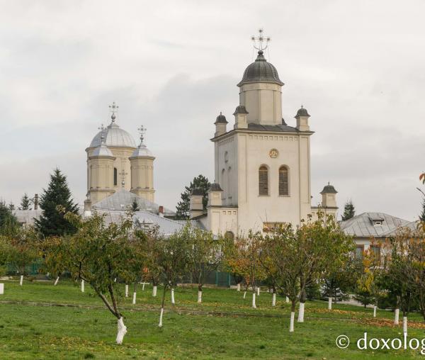 Mănăstirea Pasărea